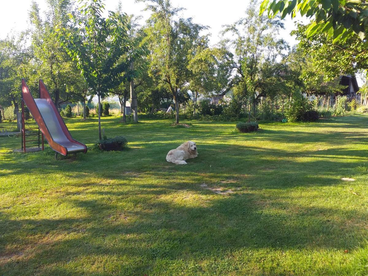Camping Lukac Kutina Dış mekan fotoğraf