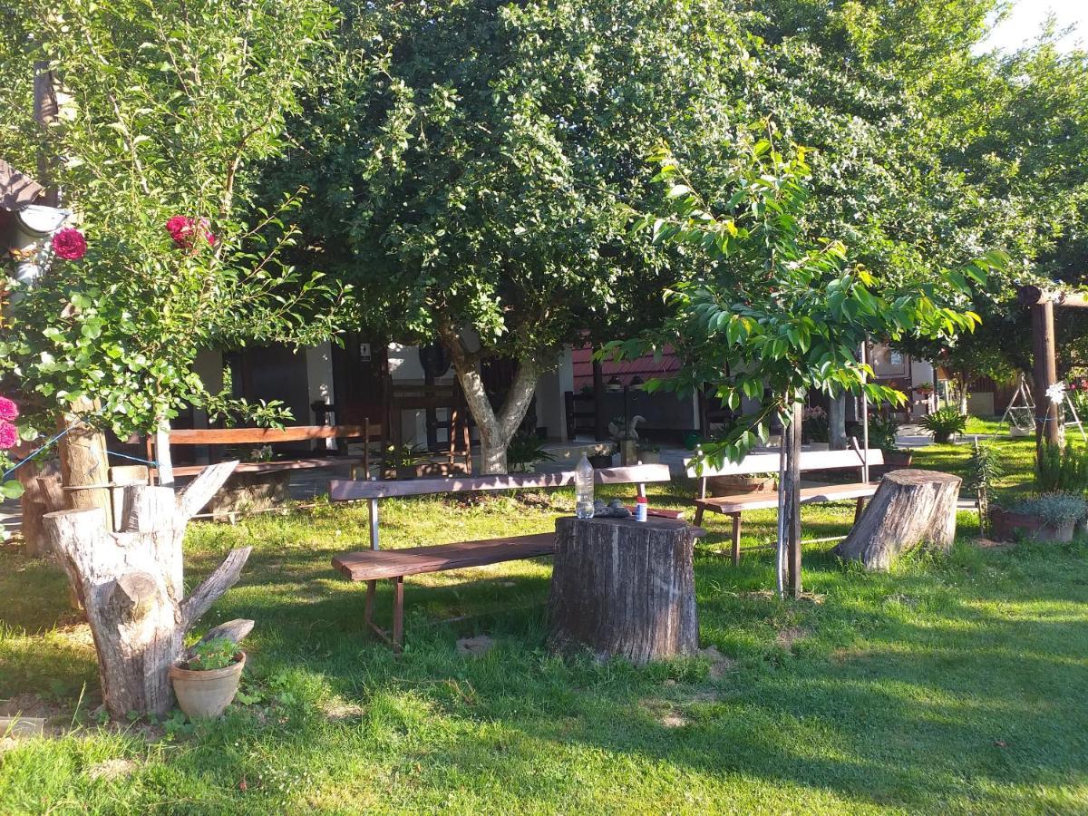 Camping Lukac Kutina Dış mekan fotoğraf