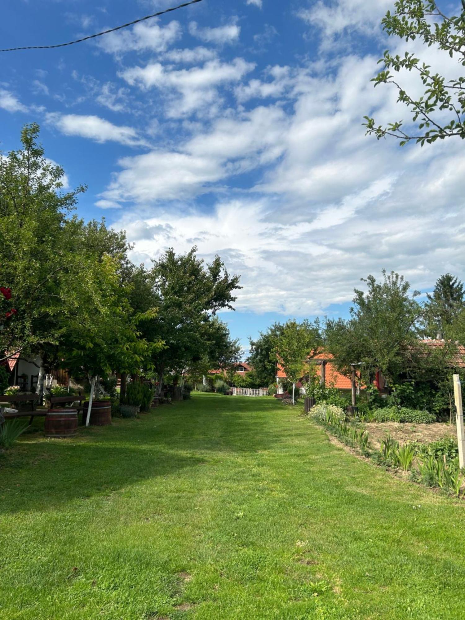 Camping Lukac Kutina Dış mekan fotoğraf
