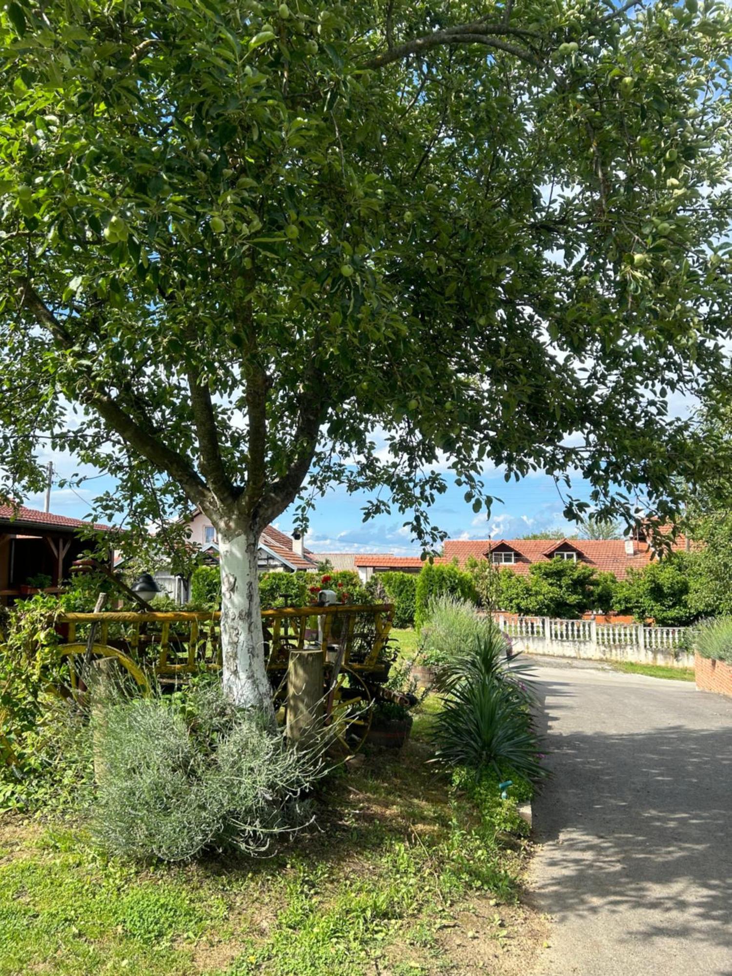 Camping Lukac Kutina Dış mekan fotoğraf