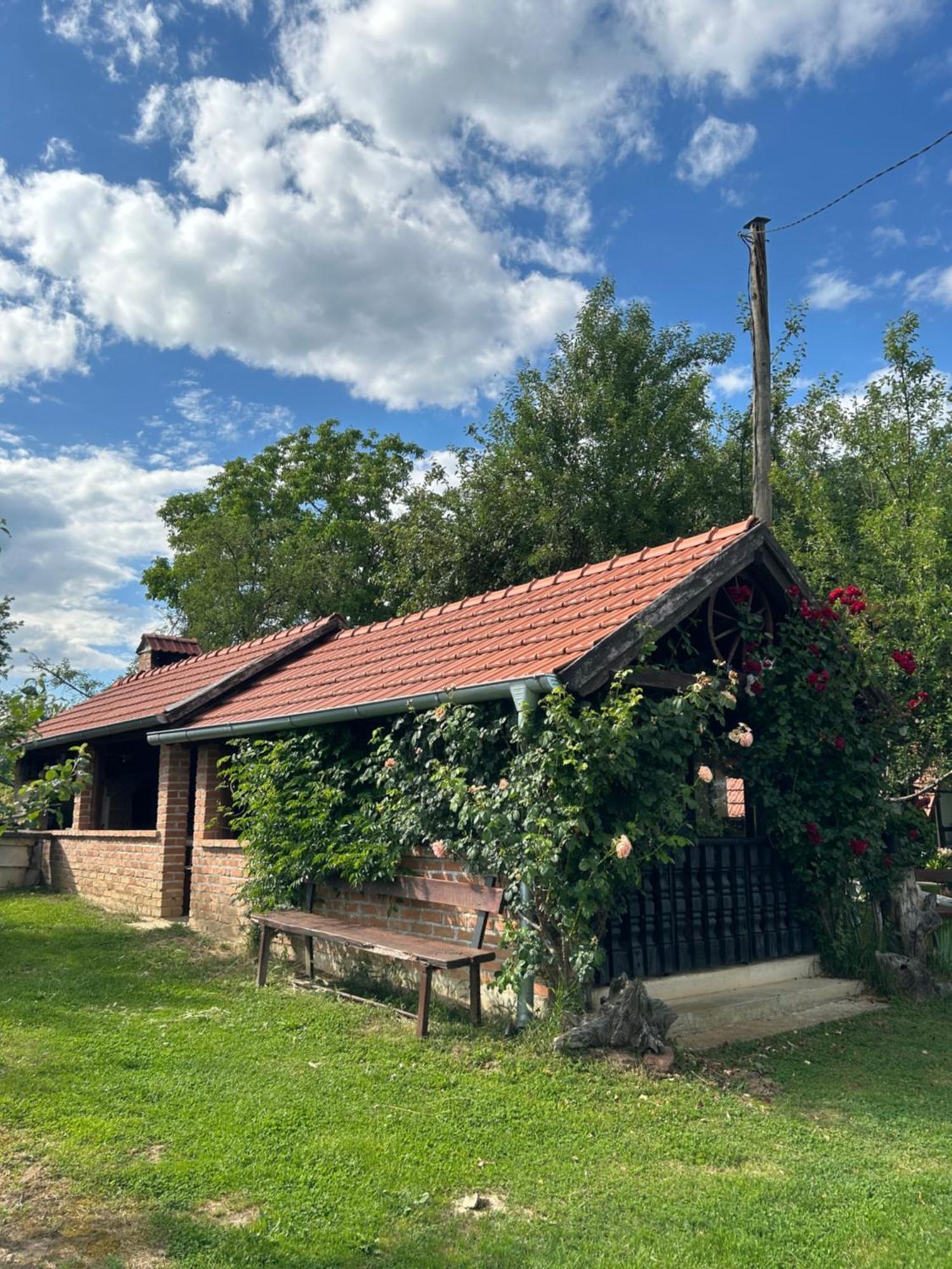 Camping Lukac Kutina Dış mekan fotoğraf