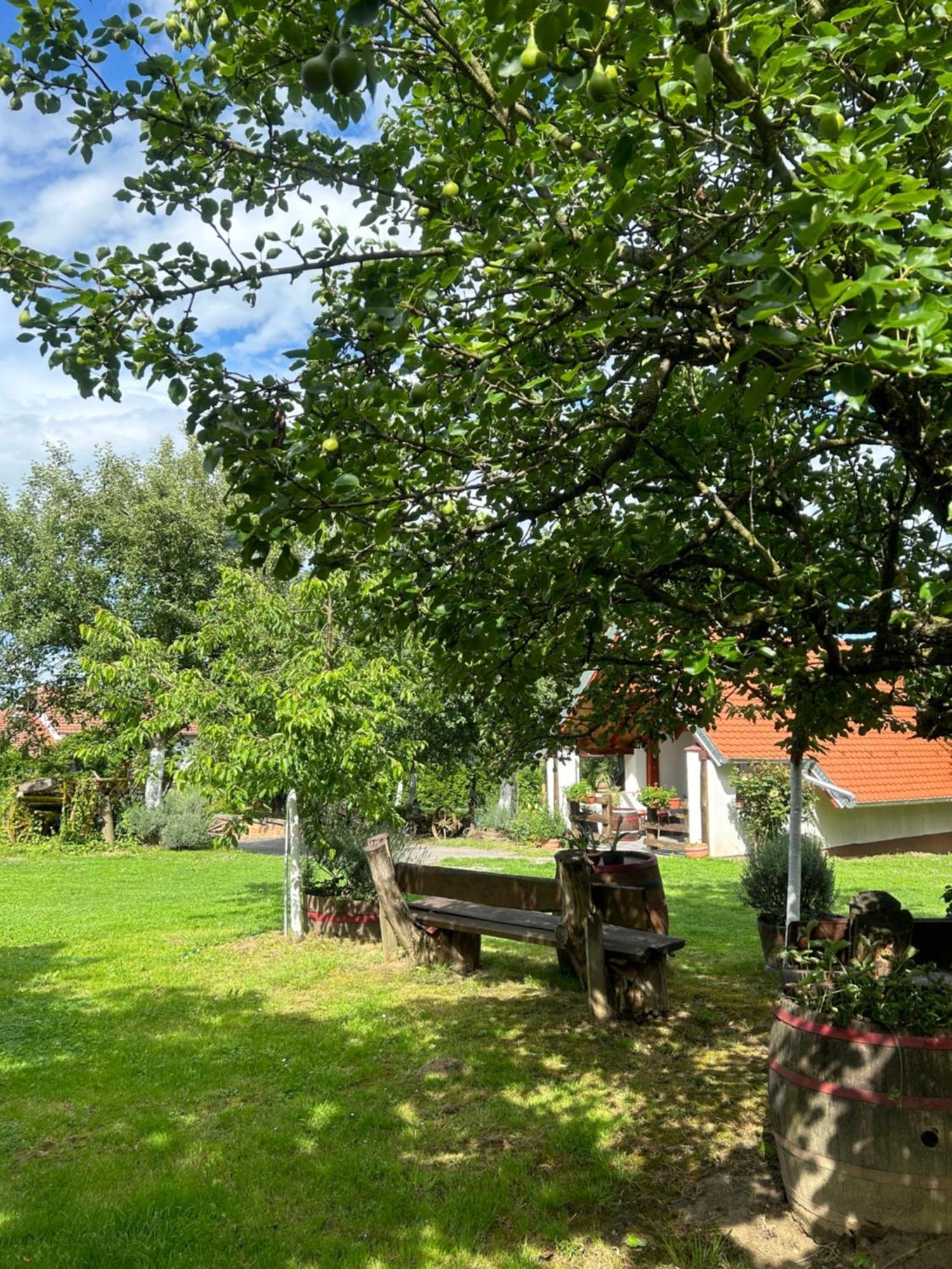 Camping Lukac Kutina Dış mekan fotoğraf